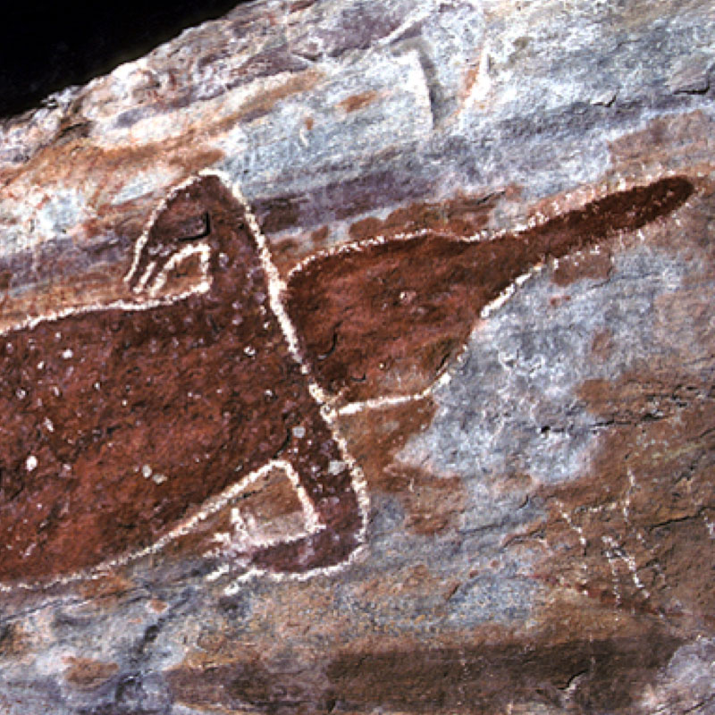 Thumbnail Image 1
